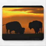 Bison Mouse Mat