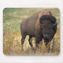 Bison Use Pad