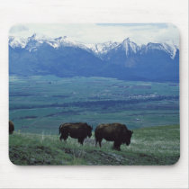 Bison Mouse Pad