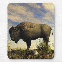 Bison Mousepad