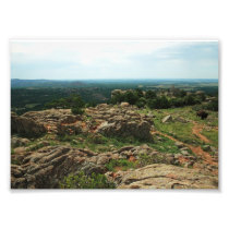 Bison on Mountaintop Art Photo