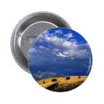Bison out on the range pinback button