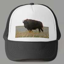 Bison Photo Sculpture Hat hats