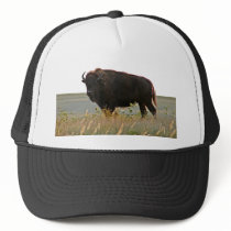 Bison Photo Sculpture Hat