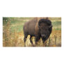 Bison Personalized Photo Card