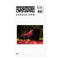 Bison postage