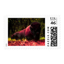 Bison Stamps