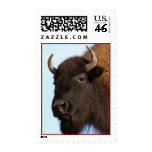 bison postage stamp