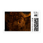 Bison Postage Stamps