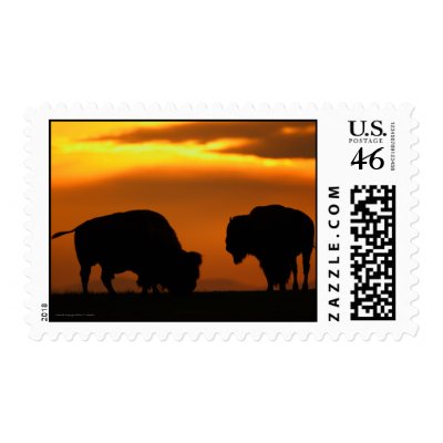 Bison Stamp by WorldDesign