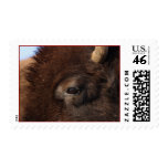 bison stamp