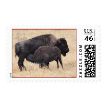 bison postage stamps