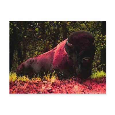 Bison Post Card by made_in_atlantis
