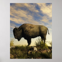 Bison Print