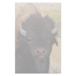 bison raspberry stationery