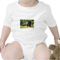 Bison Romper