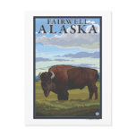 Bison Scene - Fairwell, Alaska Post Cards