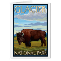 Bison Scene - Glacier National Park, MT Greeting Card