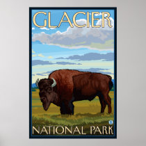 Bison Scene - Glacier National Park, MT Poster