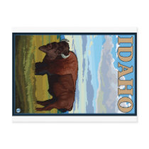Bison Scene - Idaho Post Cards