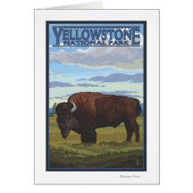 Bison Scene - Yellowstone National Park Greeting Card
