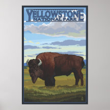 Bison Scene - Yellowstone National Park Print