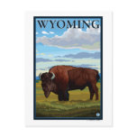 Bison SceneWyomingVintage Travel Poster Post Cards