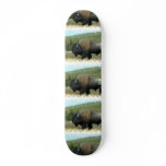 Bison  Skateboard