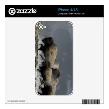Bison Stampede Decal For iPhone 4