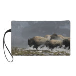Bison Stampede Wristlet Purse