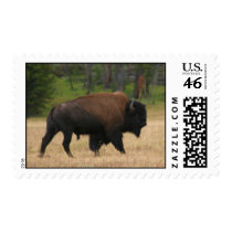 Bison Stamps