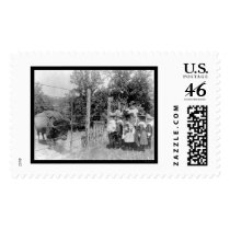 Bison Staring at Children 1899 Postage Stamps