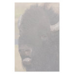 bison stationery