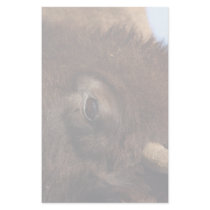 bison stationery paper
