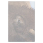 bison stationery