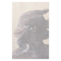 bison custom stationery