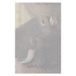 bison custom stationery