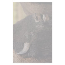 bison custom stationery