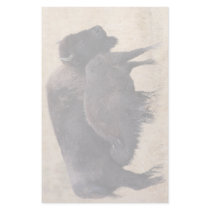 bison stationery