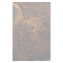 bison customized stationery
