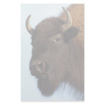 bison stationery