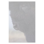 bison stationery