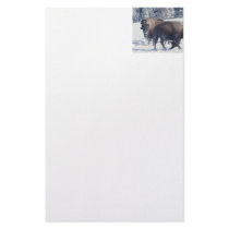 Bison Personalized Stationery