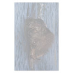 bison stationery