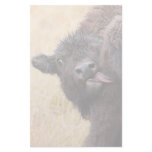 bison stationery paper