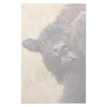 bison stationery paper