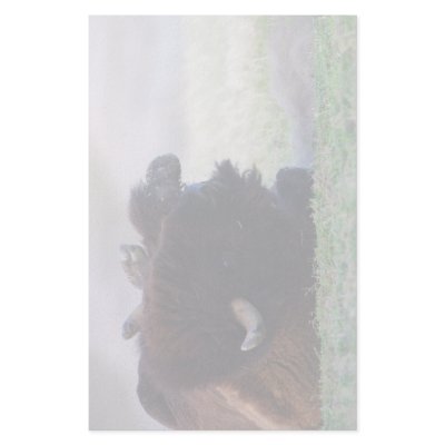 bison custom stationery by WorldDesign