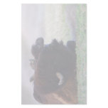 bison stationery