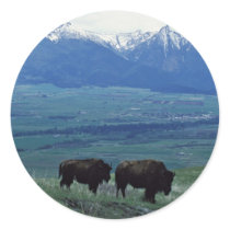 Bison Round Sticker