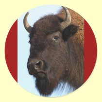 bison stickers